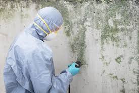 Trusted Linntown, PA Mold Remediation Experts